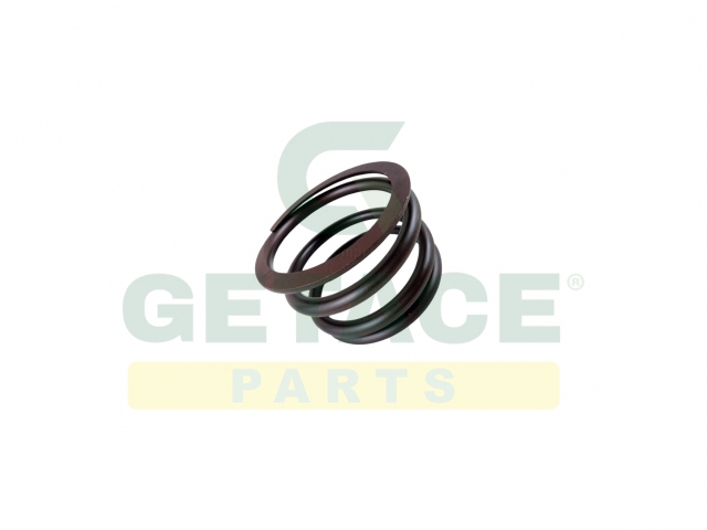 2.4019.785.1 20 - SPRING